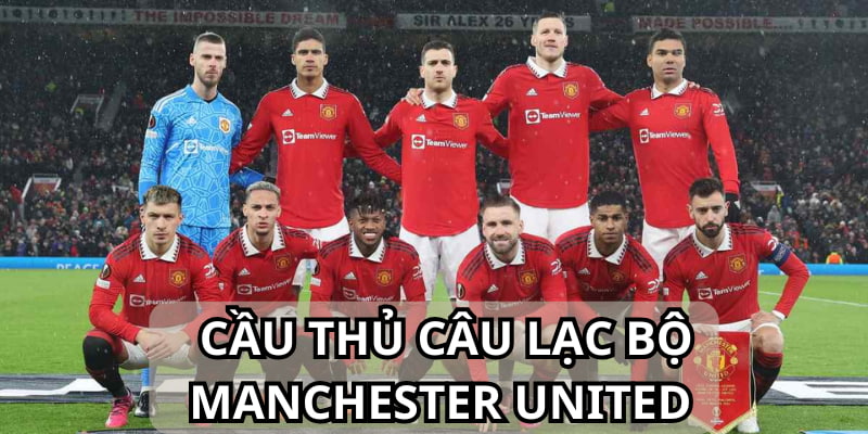 cầu thủ câu lạc bộ bóng đá Manchester United