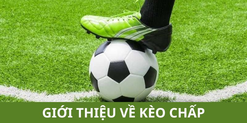 Thông tin về các kèo thể thao đang có tại hệ thống EE88